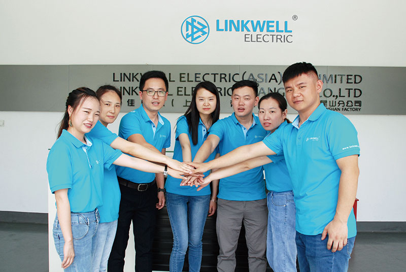 COMPANY TEAM