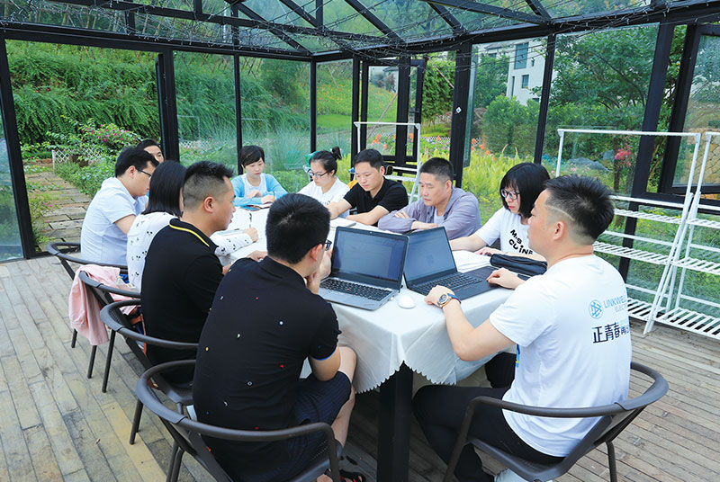  COMPANY TEAM