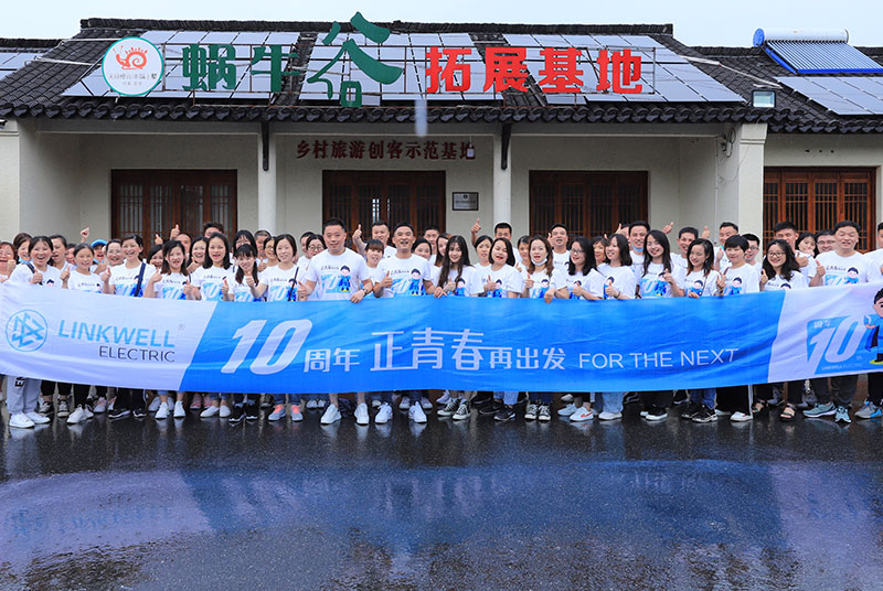 COMPANY TEAM