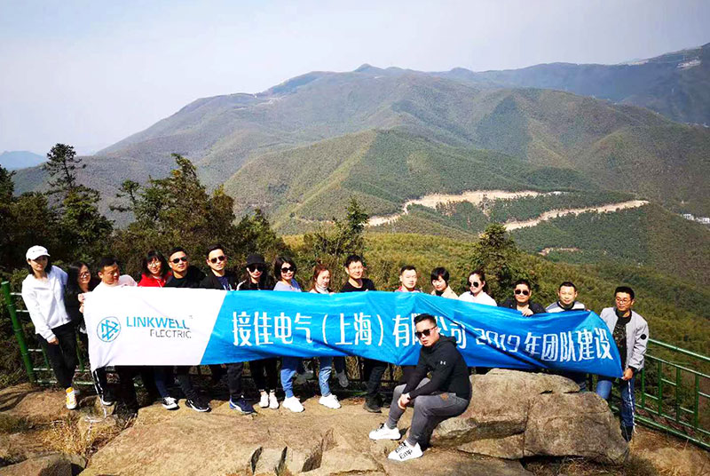 COMPANY TEAM